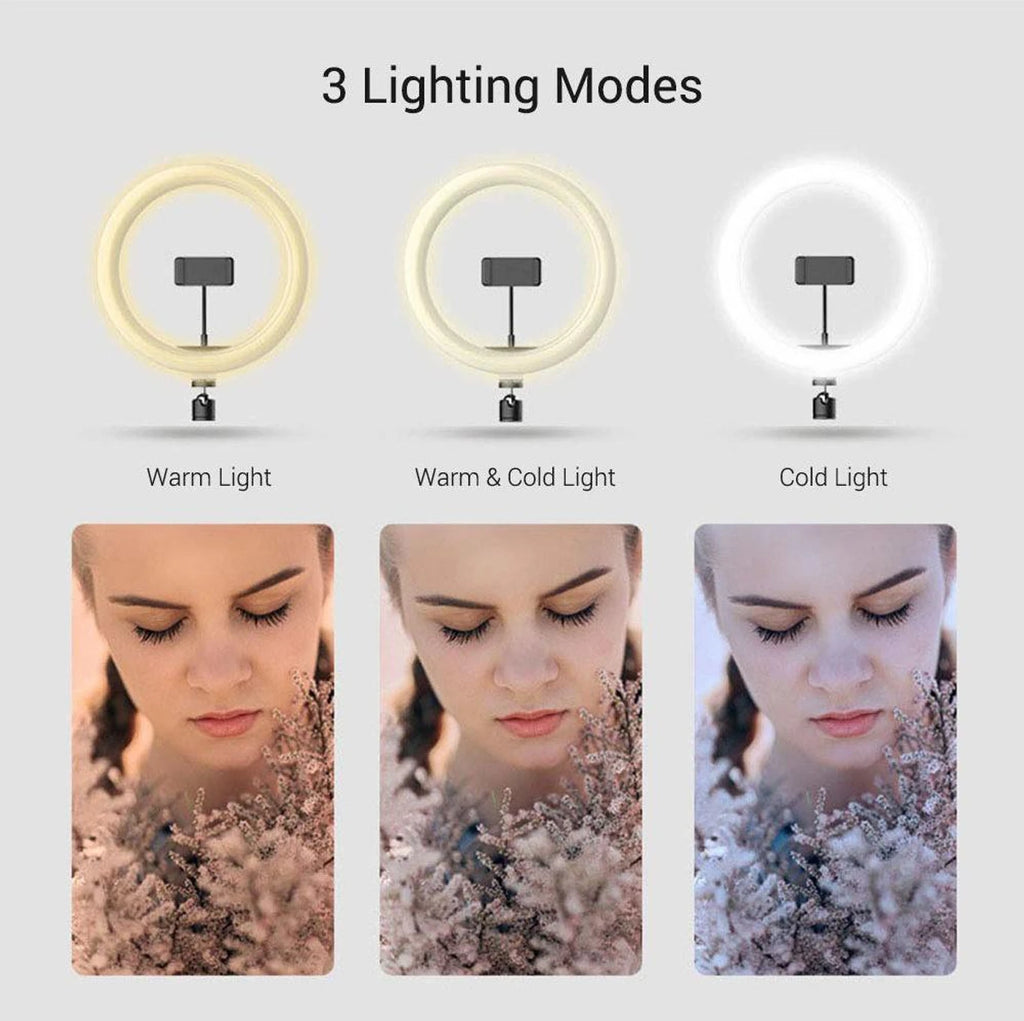 12" ringh light