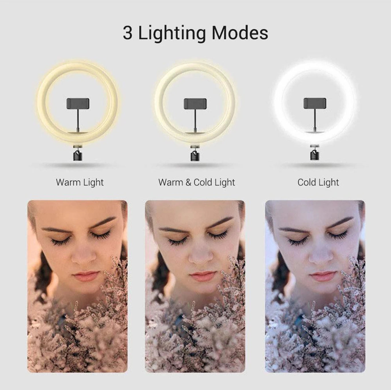 12" ringh light